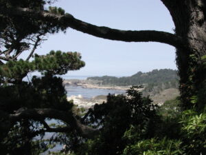 Pebble Beach Golf course, advertising photography by professional photographer Nick/Nicholas Teti III