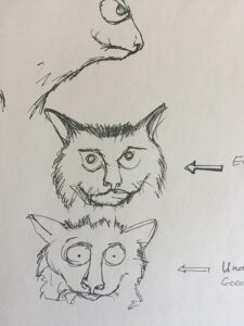 Character Design, Concept Art.