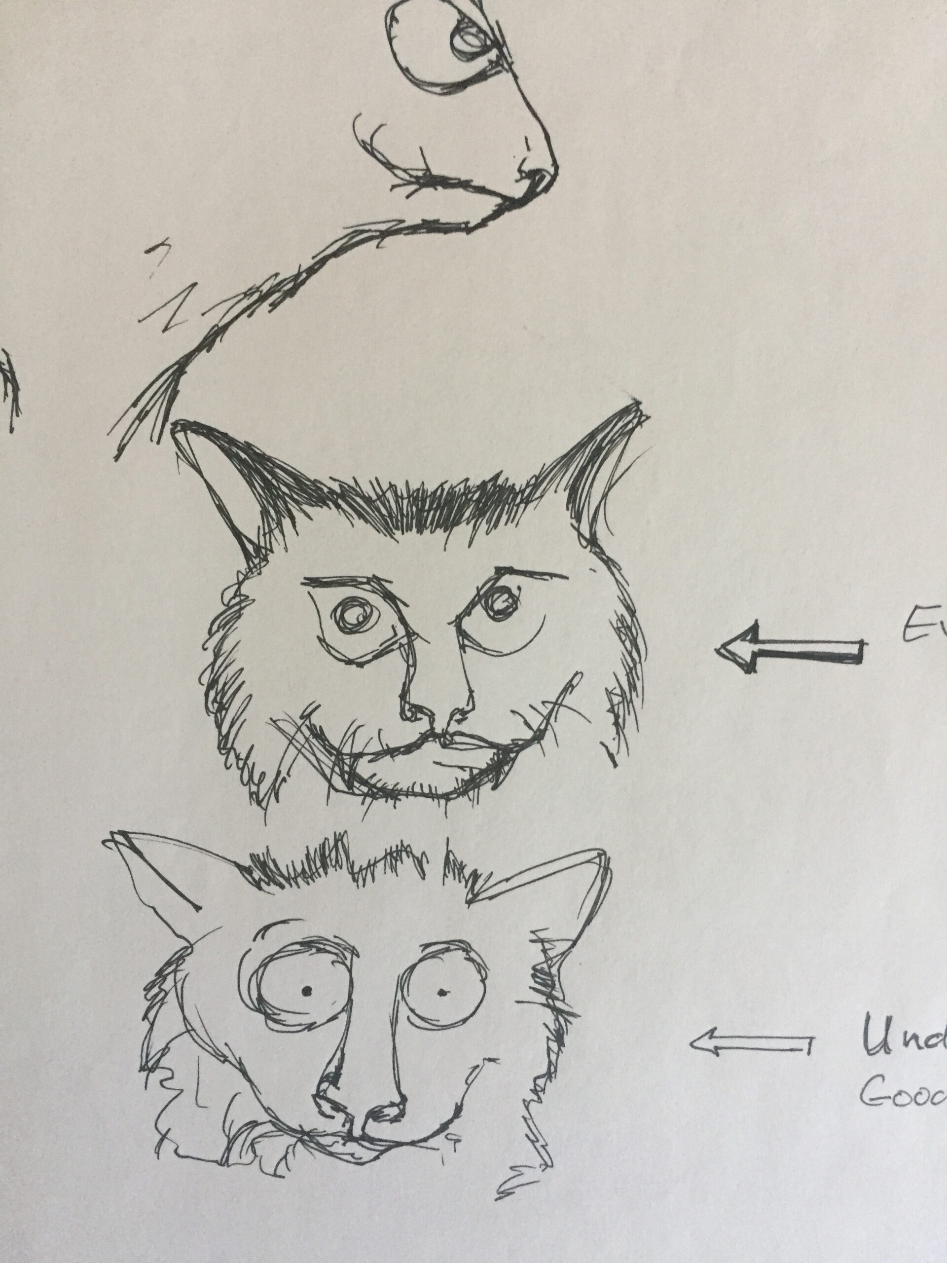 cat antagonist protagonist