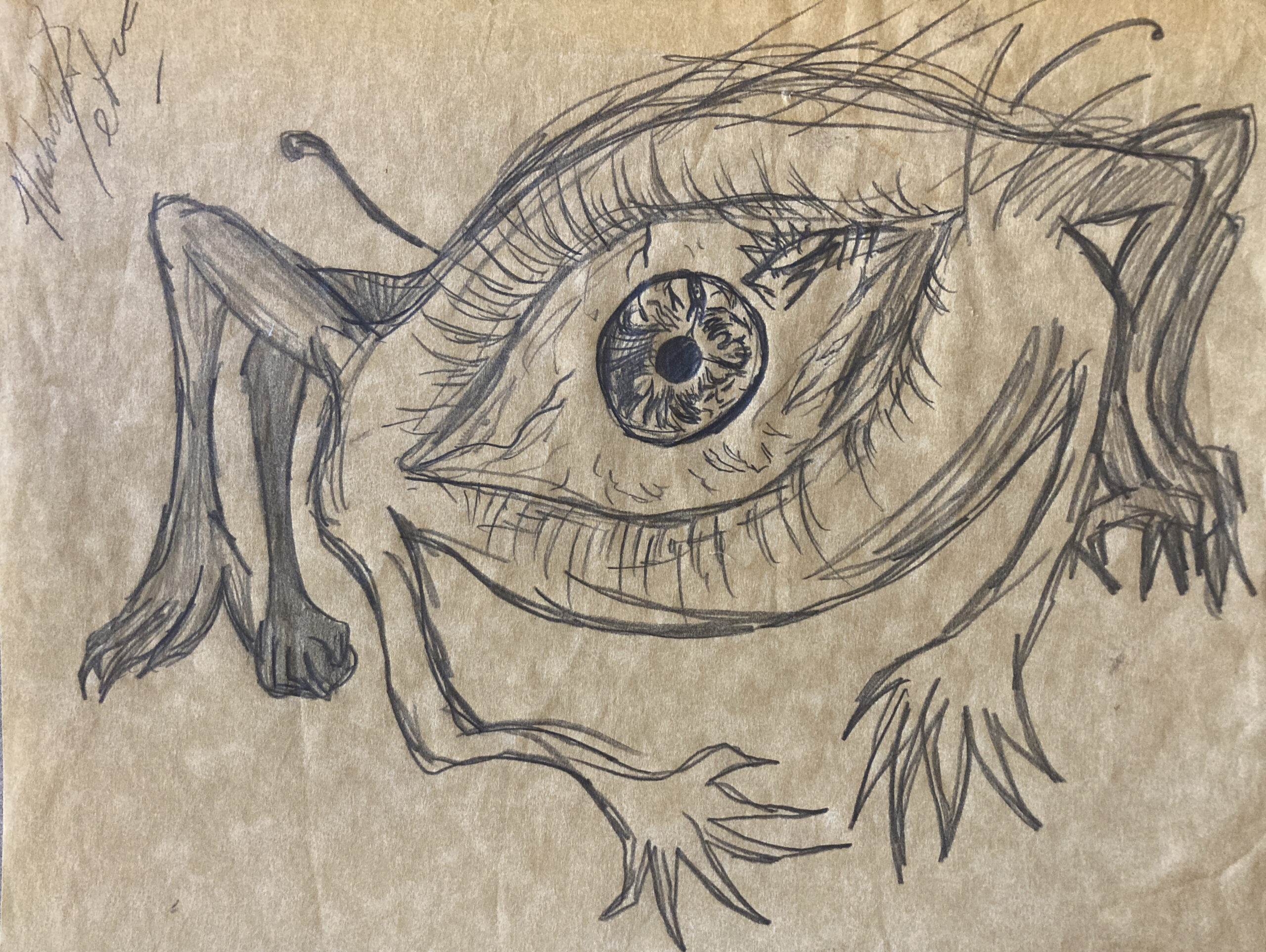 eye acid trip