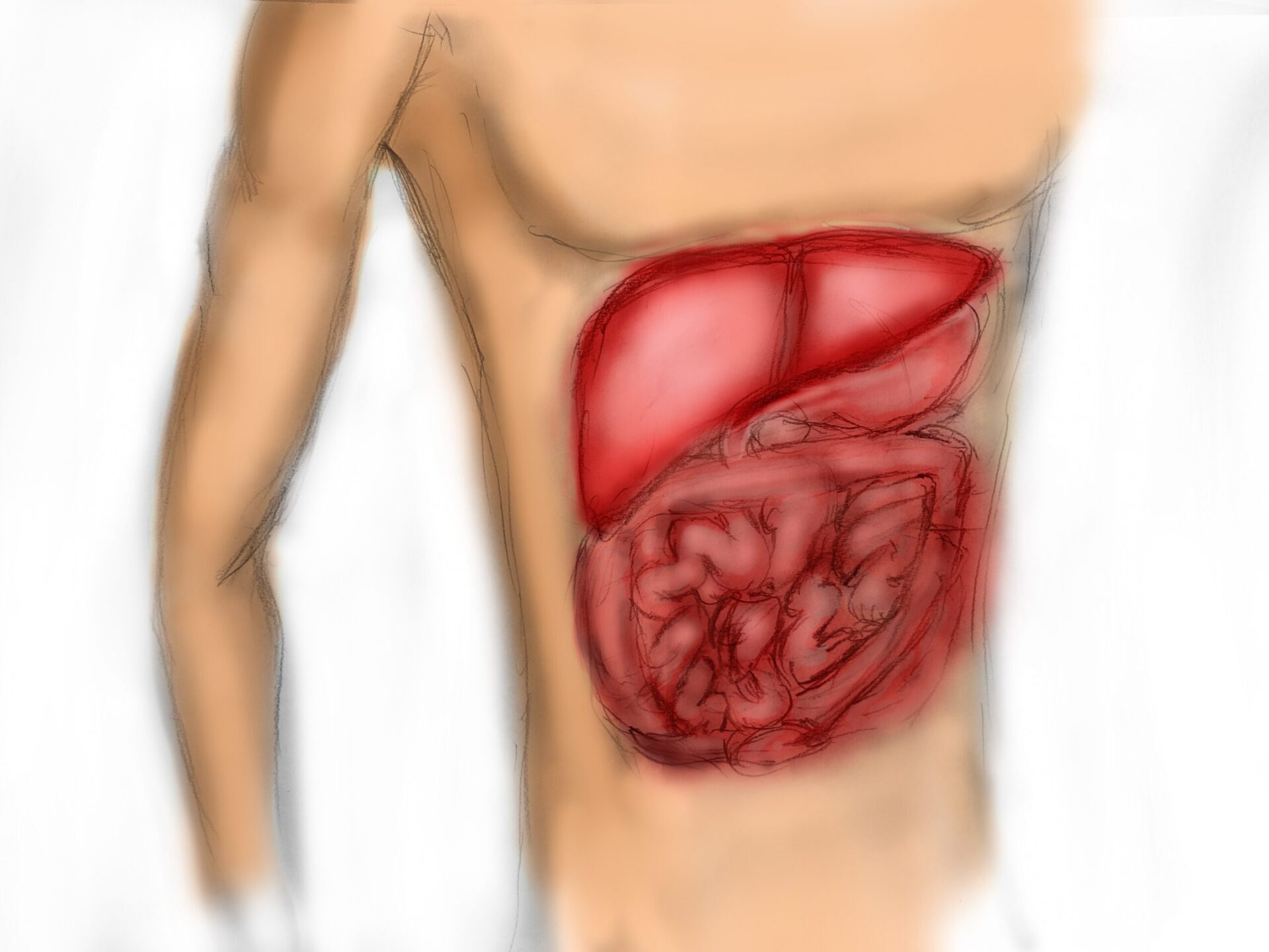 Pharma RX storyboard sample showing the treatment of liver disease. Storyboard artist Nick Teti III. coloradodirectorofphotography.com